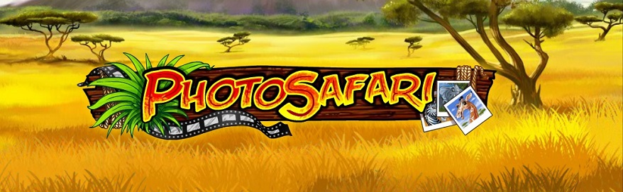 photo safari playn go gra