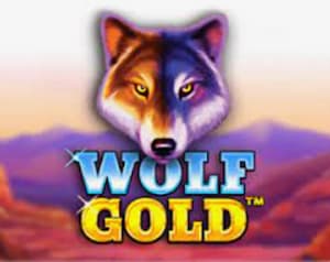 wolf gold automat